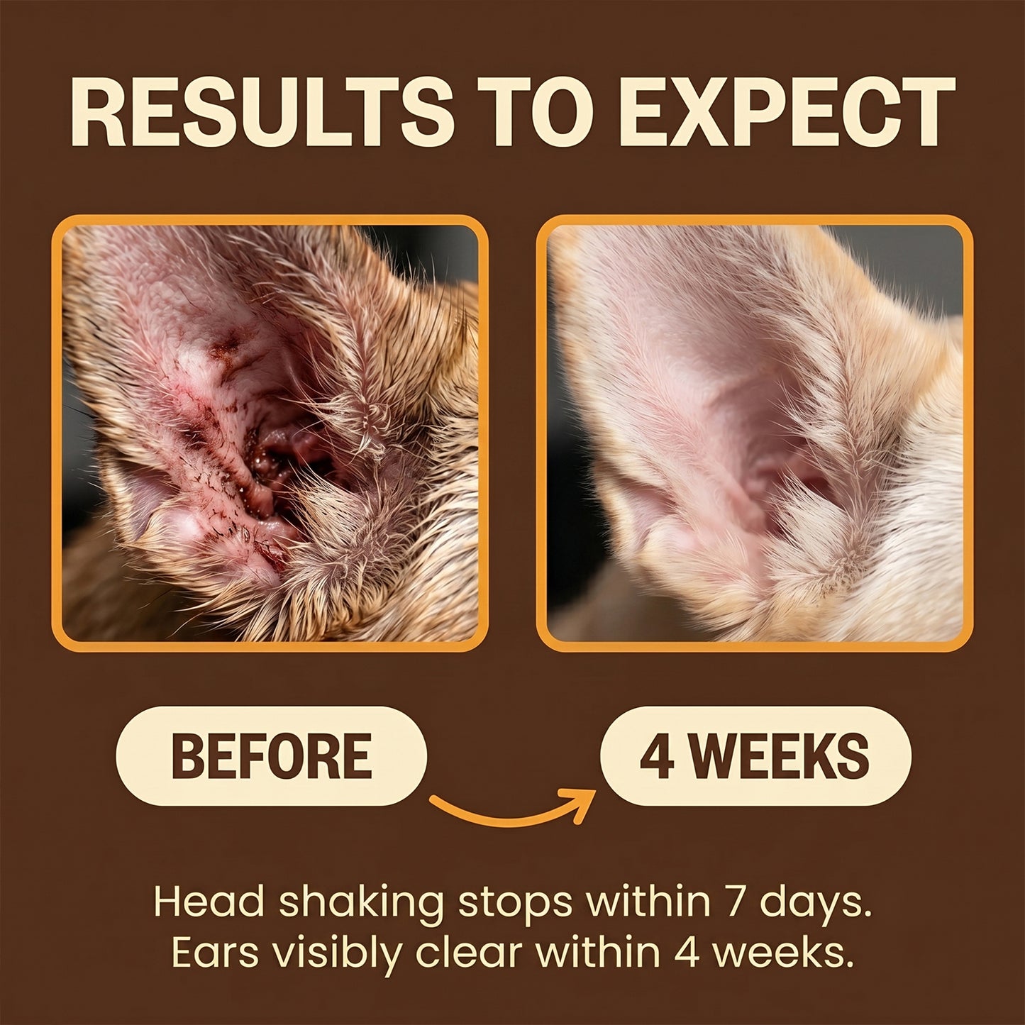 BIBI® Yeast Reset + Itch Relief Drops