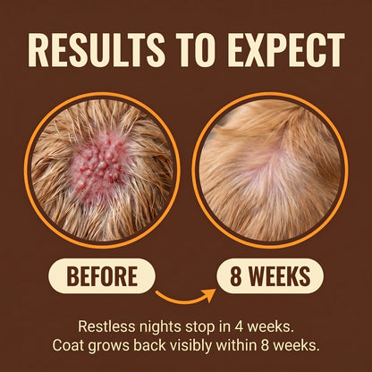 BIBI® Yeast Reset + Itch Relief Drops